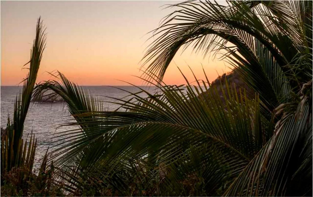 Casa Sol Zipolite Hotell Exteriör bild